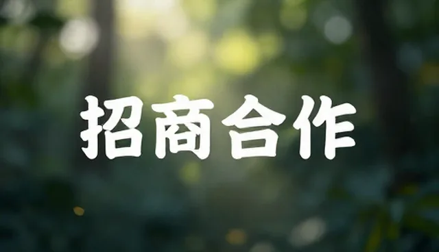 招商合作发布:企业信息管理如何优化选型与维护
